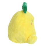 PP Perky Pineapple
