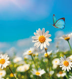 Brainstorm My First Telescope