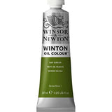 Winsor & Newton Winton Oil Colour