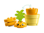 LEGO Duplo 10981 Growing Carrot