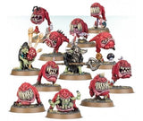 Age of Sigmar: Gloomspite Gitz Squig Herd