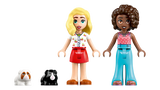 LEGO Friends Guinea Pig Playground