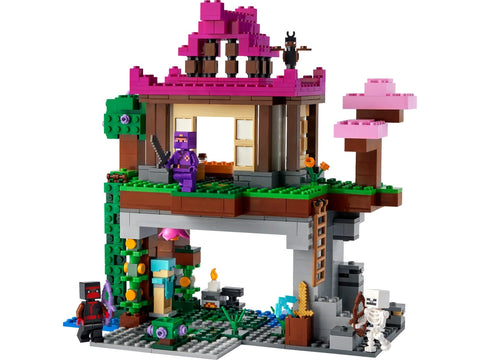 LEGO Minecraft Training Grounds
