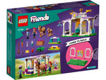 LEGO Friends Horse Training