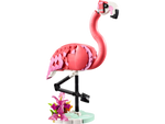 LEGO 31170 Creator Flamingo